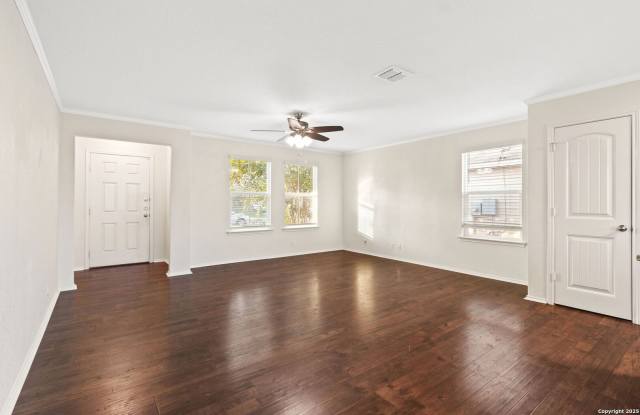 14716 Hooded Merganser photos photos