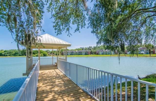 Ground Floor 1 Bedroom 1 Bath for Rent in Brandon, FL Gallery 3