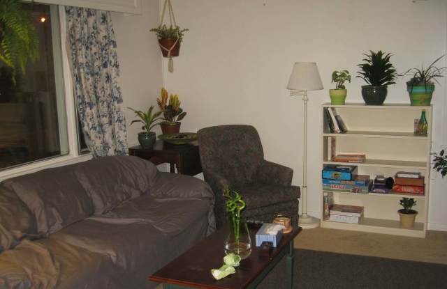 454 Mountainview Avenue Gallery 2