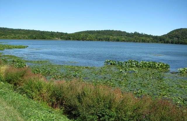 962 S Route 9W unit: 103 photos photos