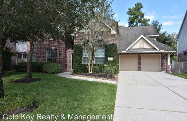 10 Renoir Trail - 10 Renoir Trail Place, The Woodlands, TX 77382