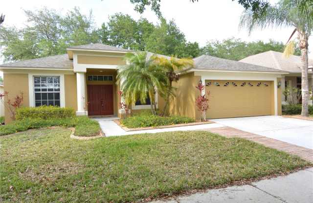 19130 CHERRY ROSE CIRCLE - 19130 Cherry Rose Circle, Keystone, FL 33558