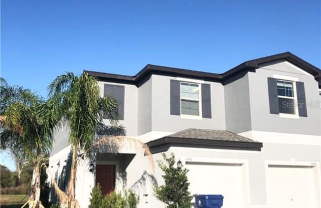 1531 CASSIUS STREET - 1531 Cassius Street, Land O' Lakes, FL 33549