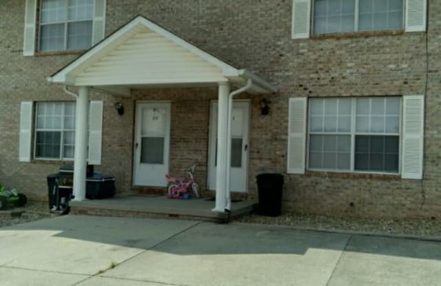 317 Bailey Rd - 317 Bailey Rd, Kingston, TN 37763
