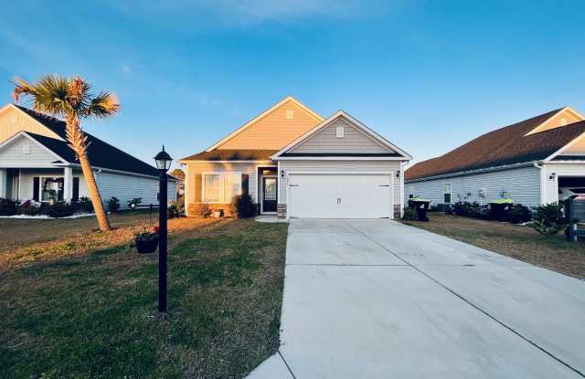 1695 Palmetto Palm Dr - 1695 Palmetto Palm Drive, Horry County, SC 29579