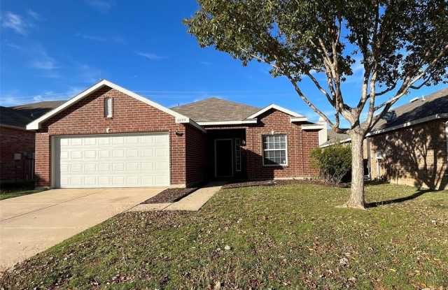 6009 Moor Hen Drive - 6009 Moor Hen Drive, Denton, TX 76208