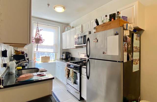 Nicely renovated 1 bed apartment available now or November 1st! photos photos