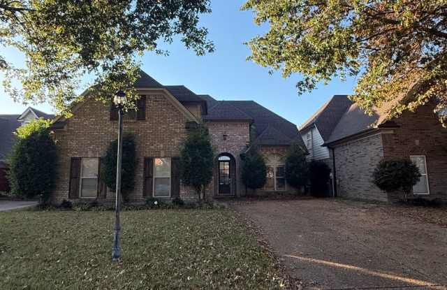 6447 Cheyenne Drive Olive Branch, MS 38654 - 6447 Cheyenne Drive, Olive Branch, MS 38654