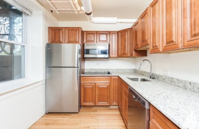 3161 North Pine Grove Avenue - 3161 North Pine Grove Avenue, Chicago, IL 60657