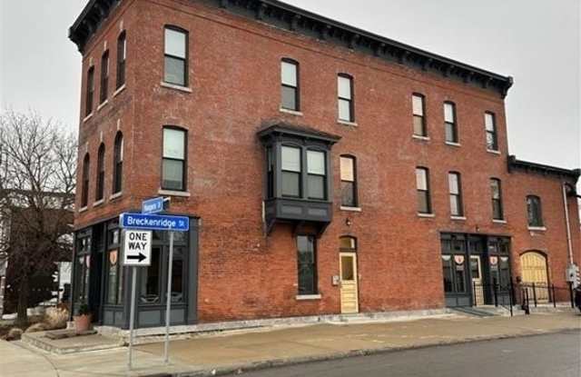 1225 Niagara Street - 1225 Niagara Street, Buffalo, NY 14213