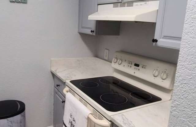 Charming 1BR Condo in Tampa Gallery 3
