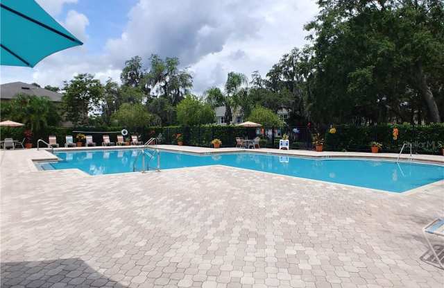 15777 FISHHAWK FALLS DRIVE Gallery 2