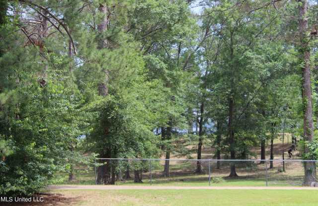 13 Mallard Pointe Circle Gallery 3