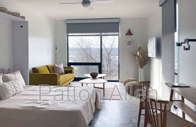 20 Artful Way, Asheville, NC 28801 - 408 Gallery 1
