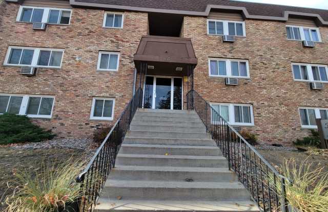 Newly Updated 1 Br/1 Ba Condo w/Hdwd Flrs, SS Appl, AC, Off-St Parking in Uptown Mpls near Wedge Co-op! photos photos