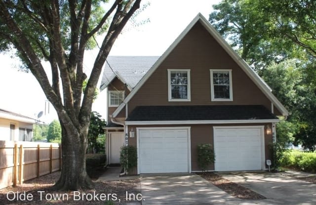 807 South Street - 807 E South Street, Orlando, FL 32801
