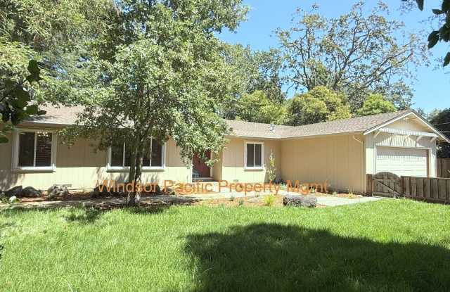 Remodeled one story home in highly desirable Alamo with huge park like yard ! Gallery 3