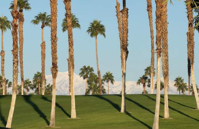 269 Vista Royale Circle W photos photos