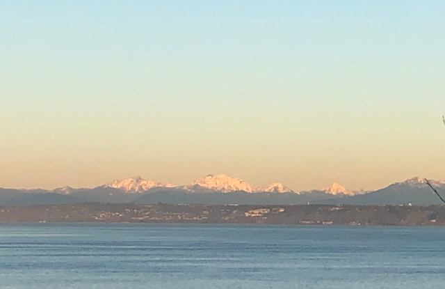 Incredible Water and Mountain Views from the PNW Home! photos photos