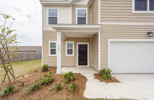 4 Bedroom 2.5 Bath Home in Cane Bay Plantation - Summerville Gallery 3