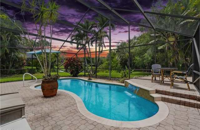 1381 Areca Cv photos photos