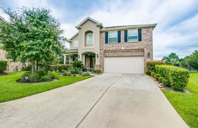 158 Pinto Point Place - 158 Pinto Point Place, The Woodlands, TX 77389
