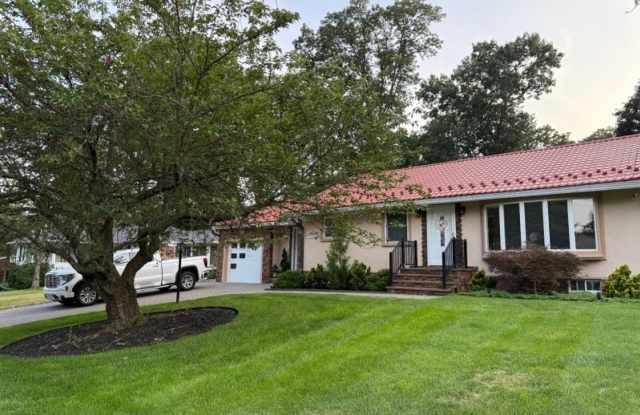 19 Donna Dr photos photos