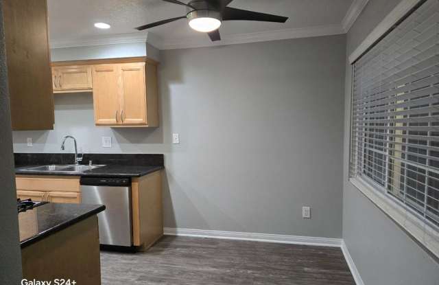 Evergreens photos photos