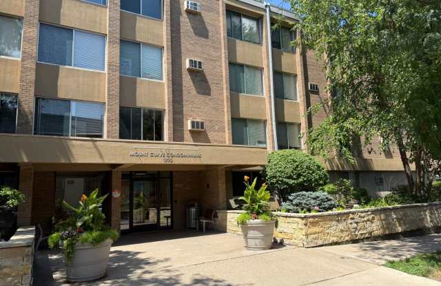 Lovely Lowry Hill 1 Bedroom Condo Gallery 1