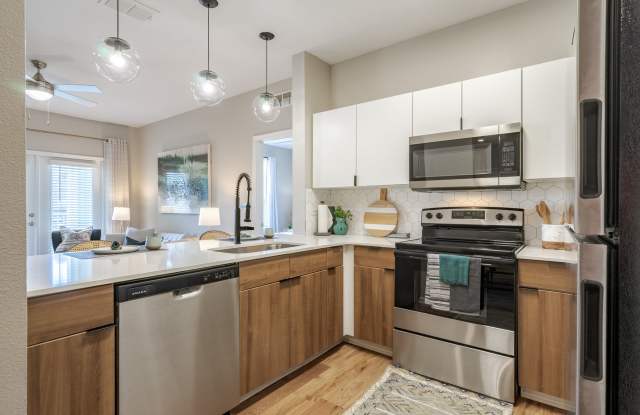 The Enclave at Tranquility Lake Apartments Gallery 4