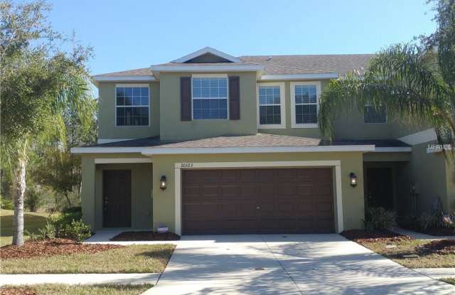 20323 STARFINDER WAY - 20323 Starfinder Way, Tampa, FL 33647