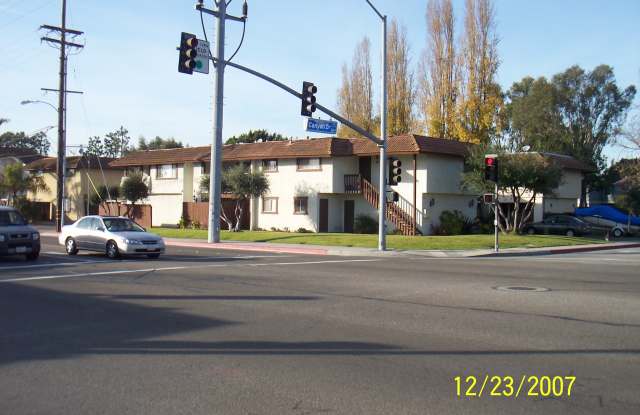2151 Canyon Drive Gallery 4