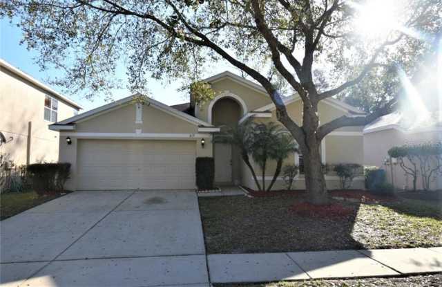 819 PARSONS POINTE STREET - 819 Parsons Pointe Street, Seffner, FL 33584