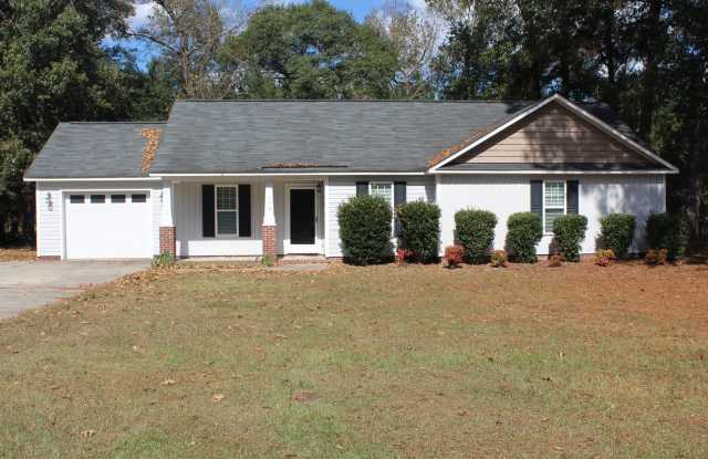 3 Bed/2 Bath Home - 10 minutes to SJAFB! photos photos