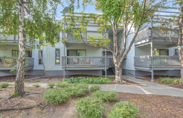 4220 George Avenue - 1#4 - 4220 George Avenue, San Mateo, CA 94403