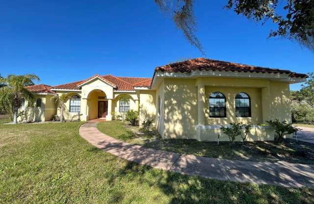 19645 ROBERTSON STREET - 19645 Robertson Street, Wedgefield, FL 32833