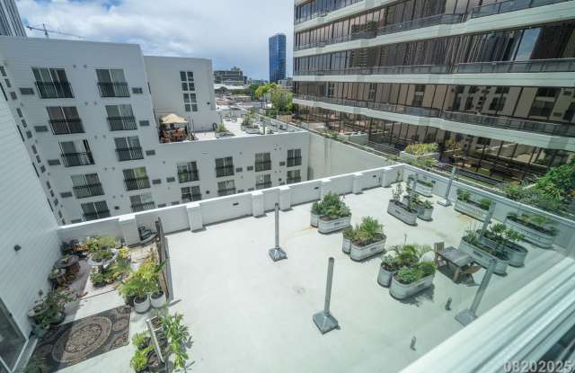 $2400 / 1 Bed  / 1 Bath / 1 Parking IN KAKAAKO Gallery 3