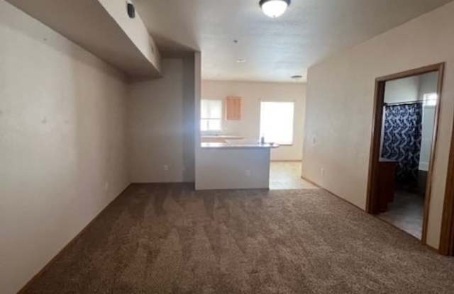 2007 East Whispering Willow Lane photos photos