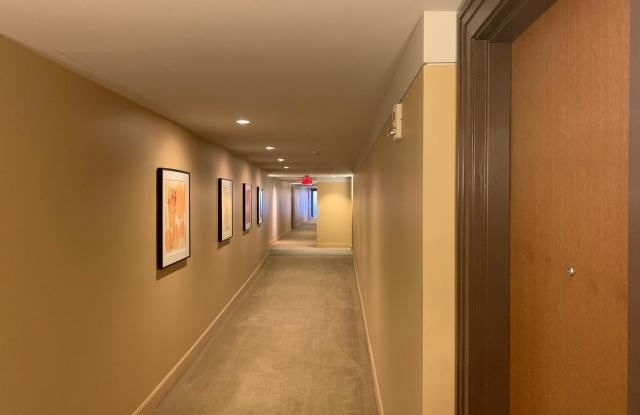 40 Nouvelle Way Gallery 4