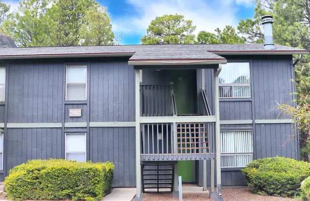 The Place At Forest Ridge Apartments Gallery 3