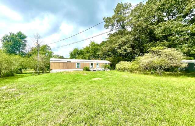 MINI FARM!!! 25-30 Min drive into Nashville! Privacy! Almost an acre for critters! photos photos