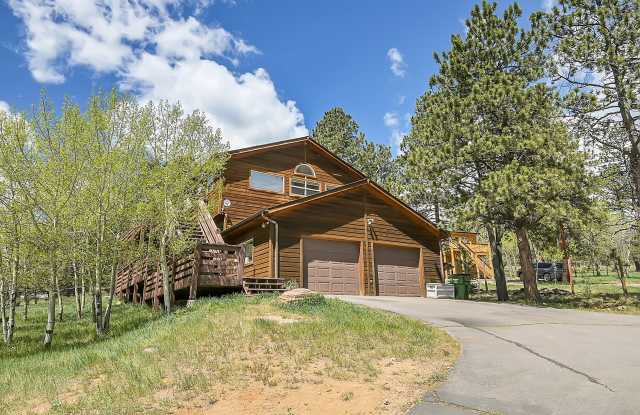 127 North Pine Drive - 127 North Pine Drive, Park County, CO 80421