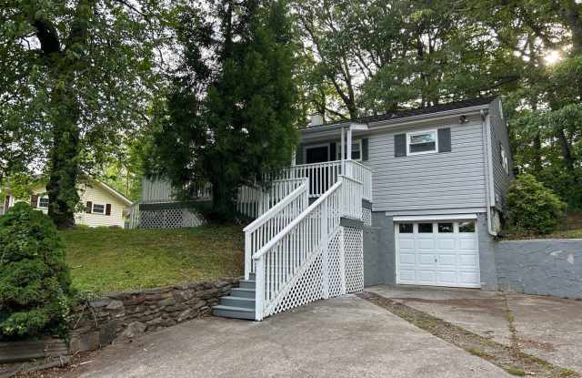 224 White Pine Drive - 224 White Pine Drive, Asheville, NC 28805