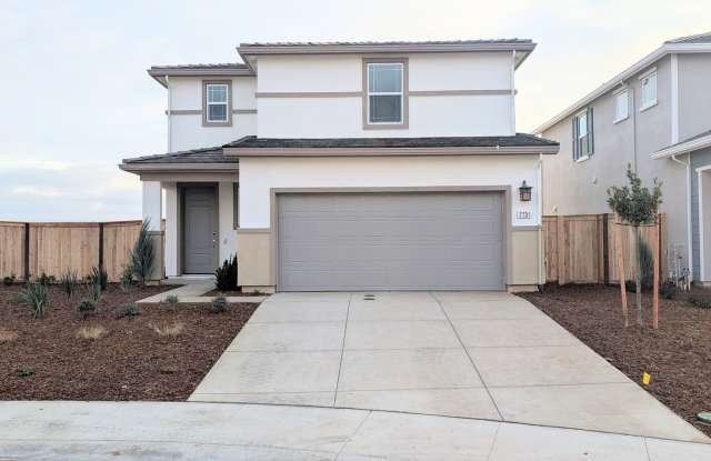 Brand New Single Family Home - 7731 Deer Mouse Way, Vineyard, CA 95829