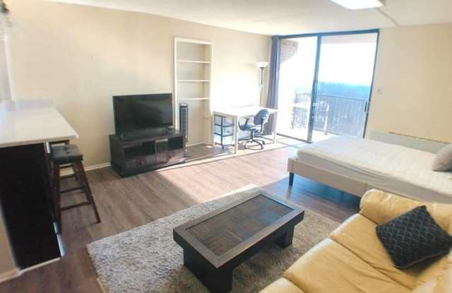 118 MONROE Street unit: 1311 photos photos 118 MONROE Street unit: 1311 photos photos