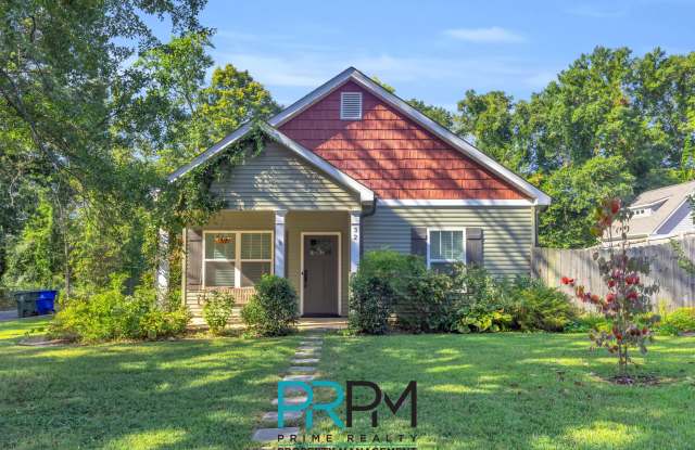 32 Celand Street - 32 Celand Street, Greenville, SC 29607