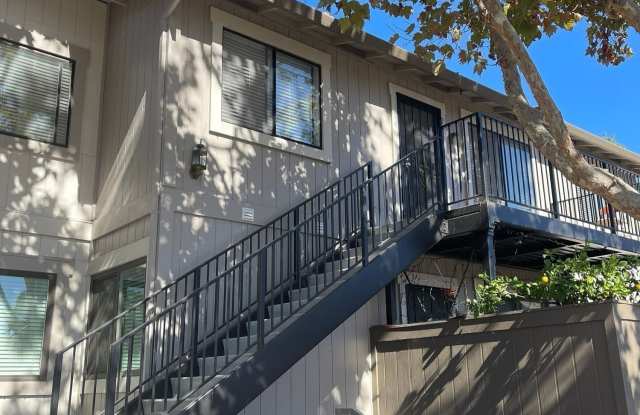 204 Famoso Plaza photos photos