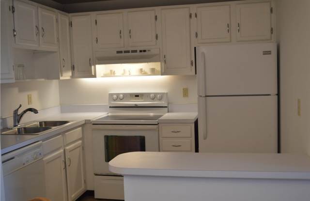 105 Spring Lake Court Gallery 2