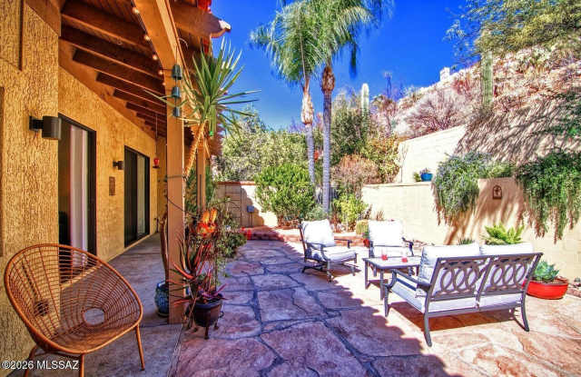 1223 E Camino Diestro photos photos