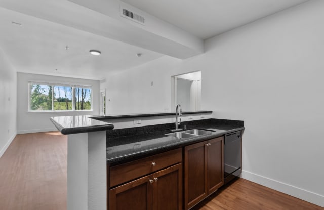 Regency Park Apartments at Queensgate photos photos